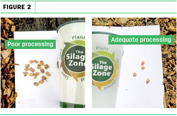 Porr processing and Adequate processing