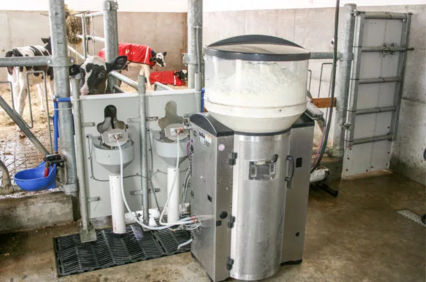 automatic feeder