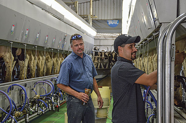 Roger Boersen and Luis Velazquez milking cows