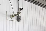 surveillance