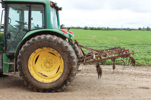 Deep cultivating compost