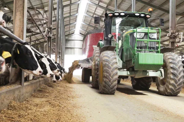 Feeding the dairy herd