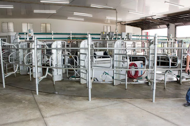 milking parlour