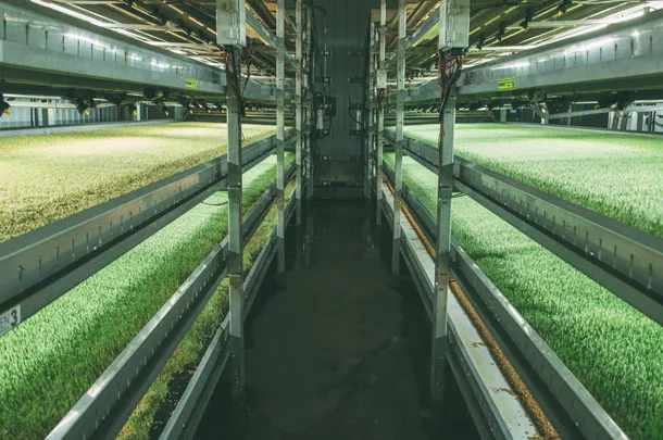 hydroponic barn