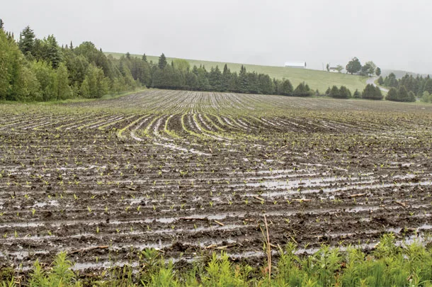 Wet fields