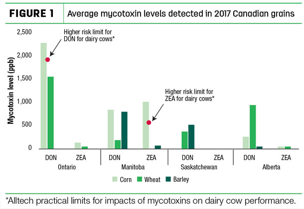 Average mycotoxin levels detected in 2017 Canadian grains