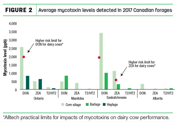 Average mycotoxin levels detected in 2017 Canadian forage