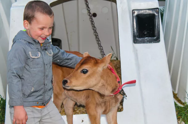 Elliott Peters and calf