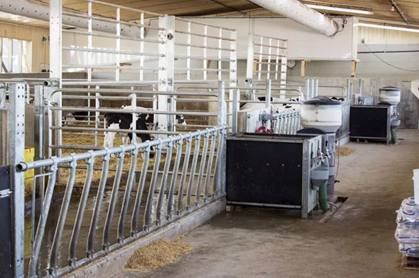 calf barn