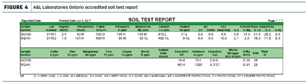Soil Test Report