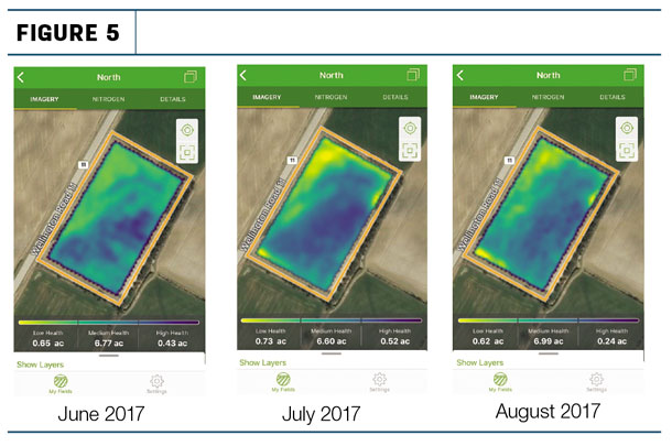 Progression of corn growth