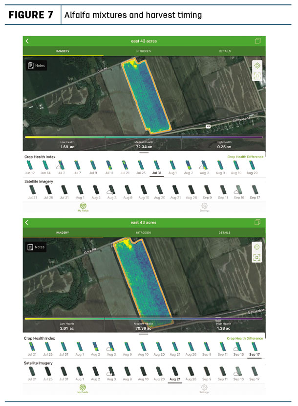 Alfalfa mixtures and harvest timing
