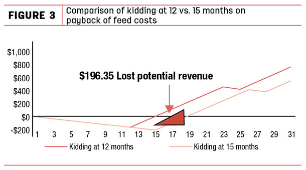comparison of kidding at 12 vs 15 months on payback of feed costs