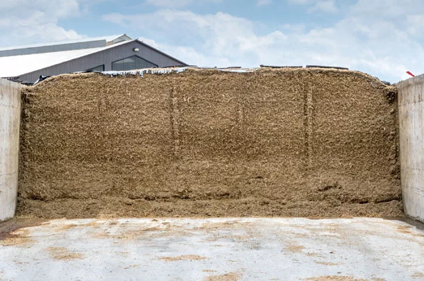 silage bunker