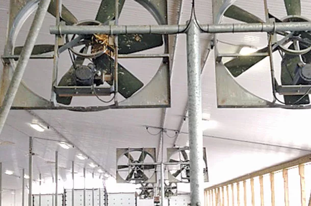 Fans in the barn