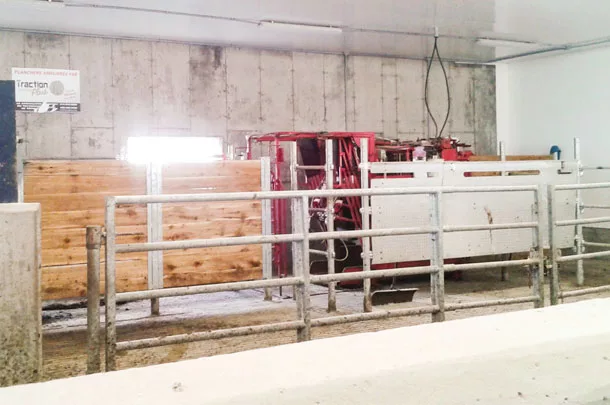 An example of a nice hoof trimming installation