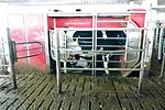 0918ca-le-sauter-robotic-milking.jpg