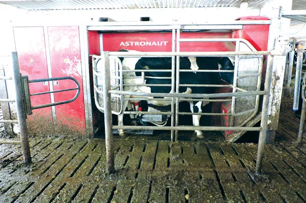 0918ca-le-sauter-robotic-milking.jpg
