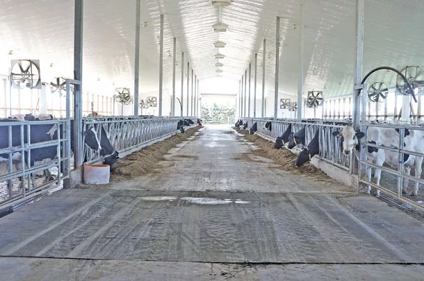 Barn with open sidewalls and clear panels