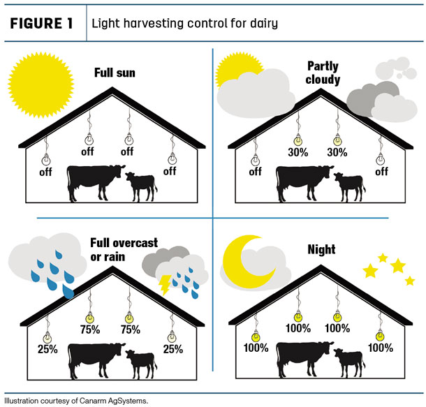 Light harvesting control for dairy