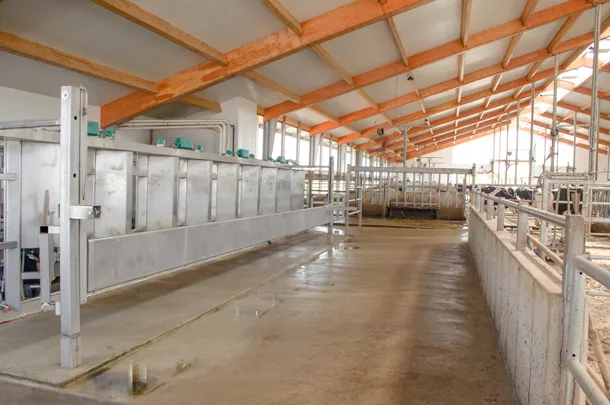 Banner Hill Dairy barn
