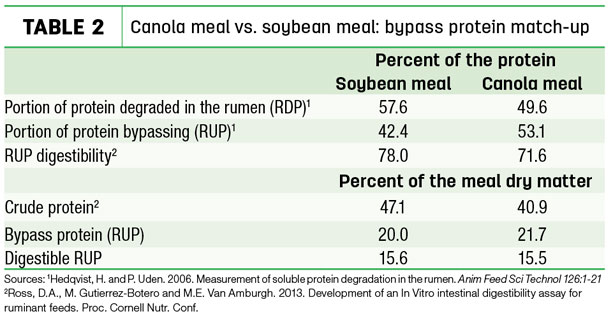Canola meal vs. soybean meal: bypass protein match-up