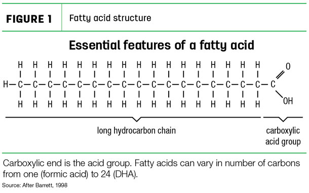 Carboxylic end is the acid group. Fatty acids can vary in number of carbons from one (formic acid) to 24 (DHA)