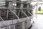 Compass Dairy Farms Ltd. rotary parlour