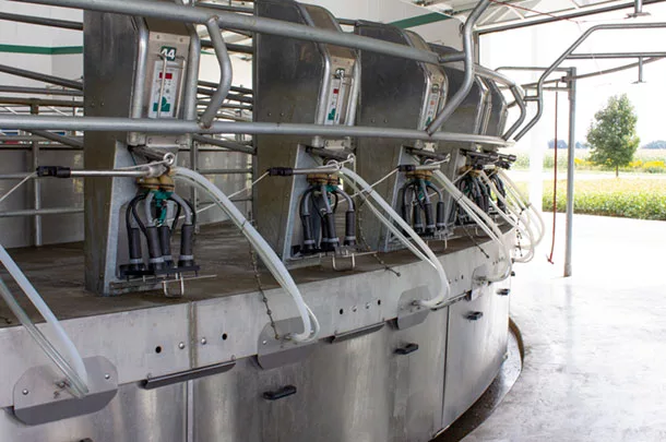 Compass Dairy Farms Ltd. rotary parlour