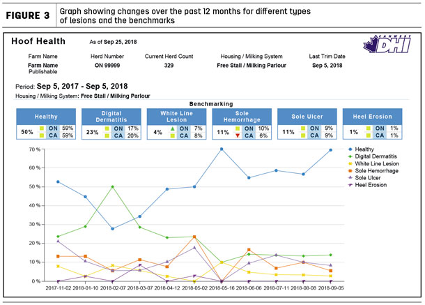 Graph showing changes over the past 12 months for different types of lesions and the benchmarks