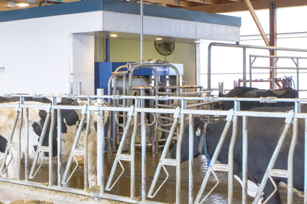 comfortable stalls and good access to the milking unit