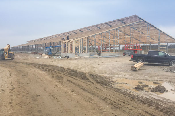 The newest building project under construction at Lintfield Farms is a heifer barn for animals from weaning to pre-calving.