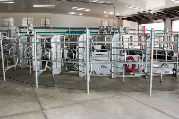 A new 40-stall internal rotary parlour has increased the efficiency of milking cows at Lintfield Farms in Granton, Ontario.
