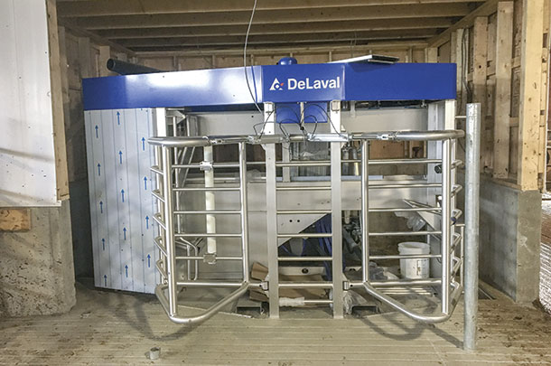 Kelton Holsteins
