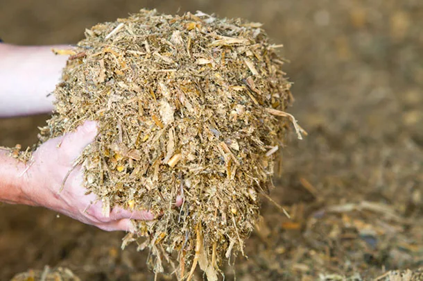 Silage varies from season to season