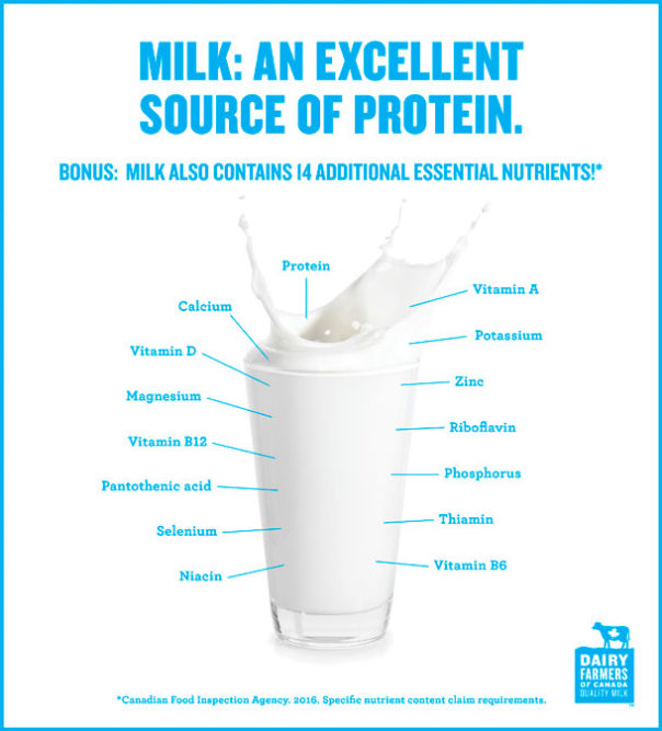 milk, an excellent source of protein