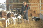 Canadian dairy farmers have always been committed to providing excellent care for their cattle