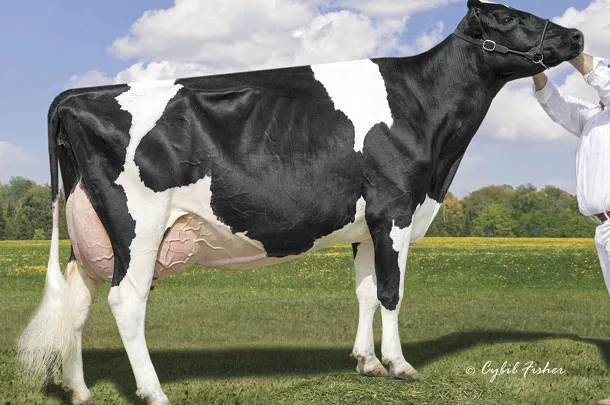 Lylehaven Lila Z (Ex-94-22*)