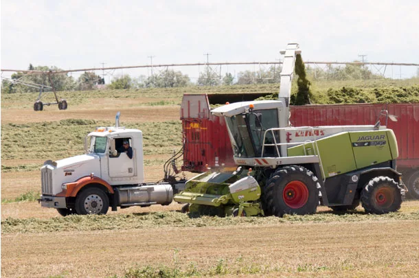 cutting hay