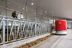 Automated bedding robot
