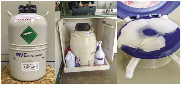 Keep semen tanks off concrete and switch tanks once frost buildup occurs