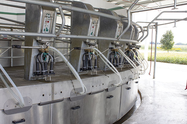 The installation of a 50-stall rotary parlour helped the De Beers cut down on milking time
