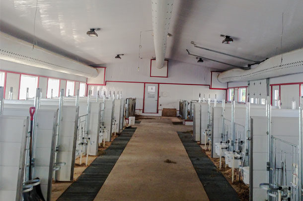 Clean air is essential for calf health. Installing a positive-pressure tube ventilation system is one easy way to improve indoor calf facilities.