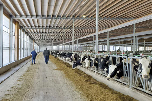 0920ca Prevention is key for producers