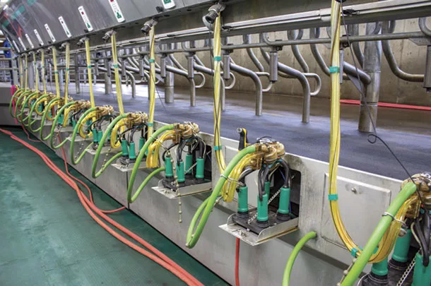 The new parallel double-24 stall parlour at Wenlay Dairy