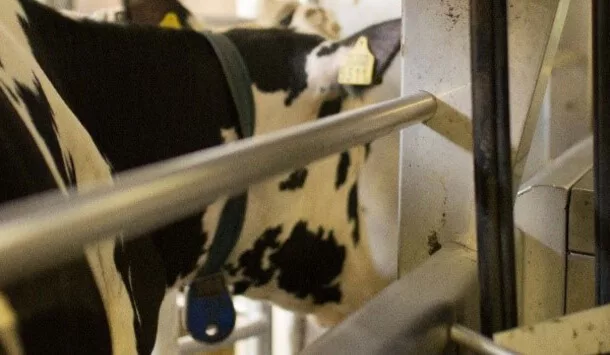 DeLaval