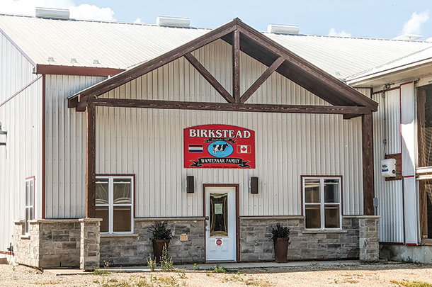 Birkstead Holsteins
