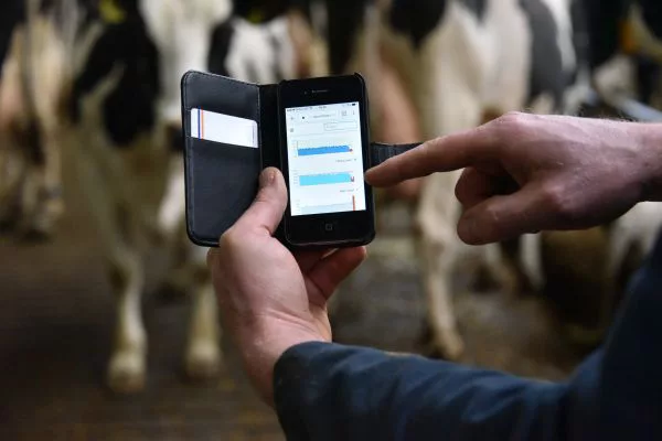 Nedap Cowwatch