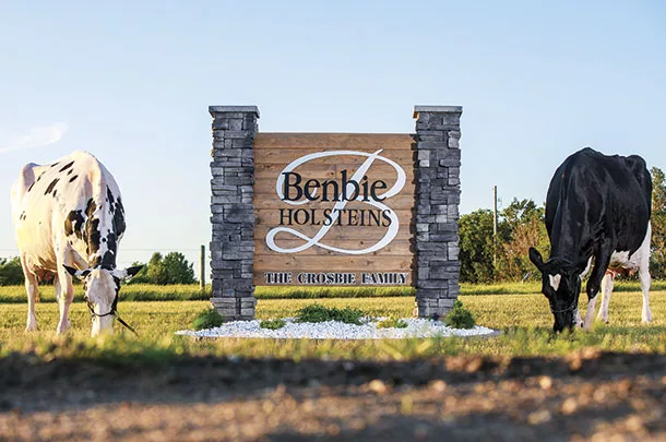 Benbie Holsteins