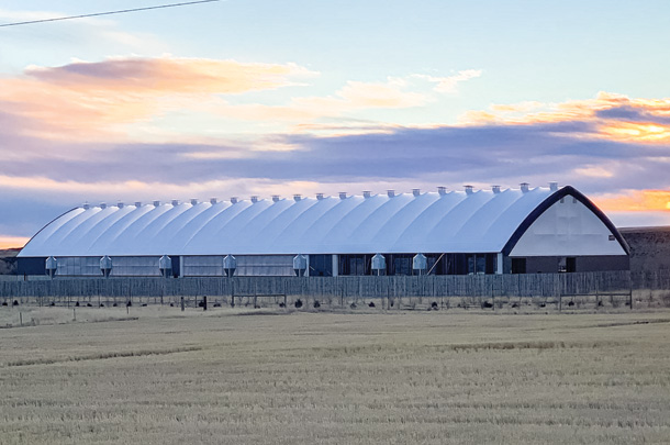 Naturally ventilated barn